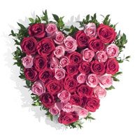 Pink Red Roses Heart 50 Flowers Same Day New Year Flowers to Vishakhapatnam
