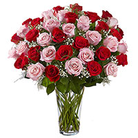 Red Pink Roses in Vase 50 Flowers to Hyderabad. Midnight New Year Flowers Delivery in Secunderabad