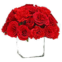 Online Diwali Red Roses with Red Carnations in Vase 20 Flowers in Hyderabad