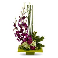 Send Flowers to Hyderabad including 5 Orchids 10 Carnation Flower Arrangement on Rakhi