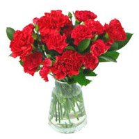 Send Christmas Flowers to Hyderabad. Red Carnation Vase 10 Flowers Delivery to Hyderabad