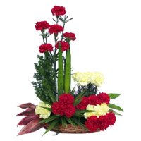 Send Online New Year Flowers Basket to Hyderabad containing Red Yellow Carnation Basket 24 Flowers in Hyderabad