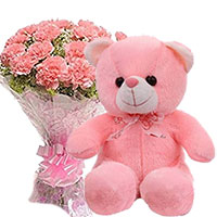 Buy Diwali Gifts to Hyderabad. Diwali Gifts in Hyderabad to send 12 Pink Carnation With Small Teddy Bear Hyderabad