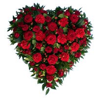 Deliver Housewarming Flowers in Hyderabad