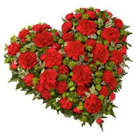 Send Best Friendship Day Flowers to Hyderabad including 50 Red Carnation Heart Arrangement