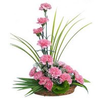 Same Day Friendship Day Flowers Delivery Hyderabad contain 15 Pink Carnation Arrangement