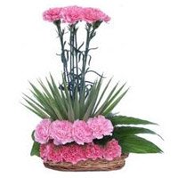 Buy Friendship Day Flowers Online Pink Carnation Arrangement 20 Flowers to Hyderabad