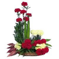 Send Red Yellow Carnation Arrangement 24 Flowers with Rakhi in Hyderabad
