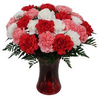Friendship Day Flowers Deliver Red Pink White Carnation Vase 24 Flower to Hyderabad Online