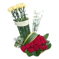 Place Order for Diwali Flowers that is Red Yellow Carnation Basket of 20 Flowers in Hyderabad
