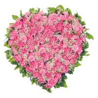 New Year Flowers in Hyderabad. Pink Carnation Heart 50 Best Flowers to Hyderabad