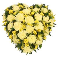 Online Delivery Diwali Flowers in Hyderabad take in Yellow Carnation Heart 24 Flowers