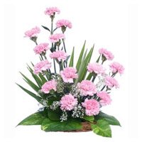 New Year Flowers Delivery in Rajamundary delivers Pink Carnation Basket 18 Flowers to Hyderabad