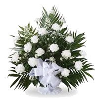 Send Diwali Flowers Online Delivery of White Carnation Basket 18 Flowers to Hyderabad
