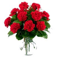 Deliver Red Carnation Vase 12 Friendship Flowers in Hyderabad