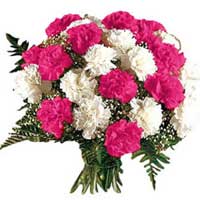 Order Diwali Flowers Online comprising Pink White Carnation Bouquet 12 Flowers to Hyderabad