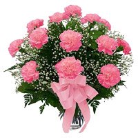 Order Pink Carnation in Vase 12 Flowers on Diwali Hyderabad