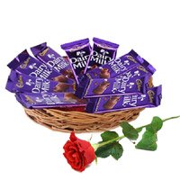 Christmas Gifts to Hyderabad to Send 12 Dairy Milk Chocolate Basket With 1 Red Rose Flowers Bud Hyderabad