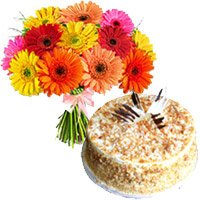 Online 1 Kg Butter Scotch Cake with Rakhi and 12 Mix Gerbera Bouquet to Hyderabad