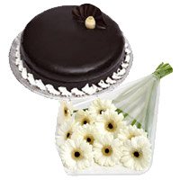 Deliver 12 White Gerbera 1 Kg Chocolate Truffle Cake to Hyderabad