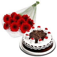 Order 12 Red Gerbera 1/2 Kg Black Forest Cake to Hyderabad and Christmas Gifts in Hyderabad