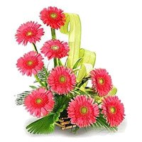 Deliver Rakhi with Online Pink Gerbera Basket of 12 Flowers in Hyderabad