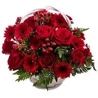 Same Day Valentine's Day Flowers to Secunderabad containing Red Gerbera Roses Basket 24 Flowers in Hyderabad