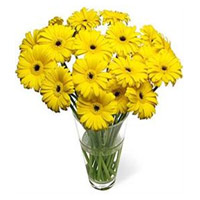 Friendship Day Flowers Deliver Yellow Gerbera in Vase 15 Flowers in Hyderabad Online