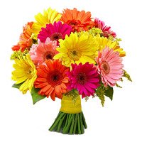 Flowers to Hyderabad : Mix Gerbera Bouquet