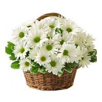 White Gerbera Basket 20 Flowers. Midnight New Year Flowers Delivery in Hyderabad