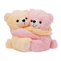Send Online Soft Toys Gifts to Hyderabad - Teddy Day