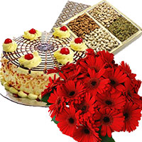 Order Online New Year Gifts to Vijayawada containing 500 gm Butter Scotch Cake 12 Mix Gerbera Bouquet