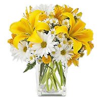 Fresh Diwali Flowers Delivery in Hyderabad including 3 Yellow Lily 9 White Gerbera in Vase
