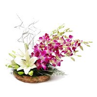 Send Diwali Flowers to Hyderabad. 2 White Lily 6 Purple Orchids Basket Flowers to Hyderabad