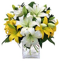 Send Friendship Day Flowers in Hyderabad with White Yellow Lily Vase 8 Flower Stems