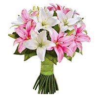 Valentines Day Flower Delivery in Nava Nirman Nagar Hyderabad : Pink White Lily 