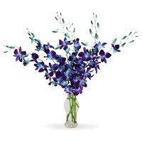 New Year Flwoers Vase to Vijayawada. Blue Orchid Vase 6 Stem Flowers to Hyderabad