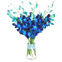 Christmas Flowers to Hyderabad Deliver Blue Orchid Vase with 12 Stem Flowers in Hyderabad