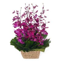 Online Christmas Flowers Delivery of 10 Purple Orchids Basket Flower to Hyderabad