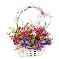Buy Friendship Day Mixed Orchid with Stem in Basket of 12 Flowers to Hyderabad
