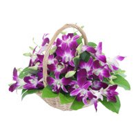 Valentine's Flowers in Hyderabad including Purple Orchids Basket 15 Flower Stems