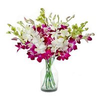 Purple White Orchid in Vase 10 Flowers. Same Day New Year Flowers to Vizag