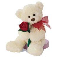 Same Day Valentine's Day Gifts to Hyderabad : Teddy Bear With a Rose to Hyderabad