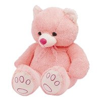 Deliver Valentine's Day Gifts in Secunderabad : Teddy Bear 16 Inch