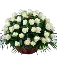 Online Flowers to Hyderabad : White Roses