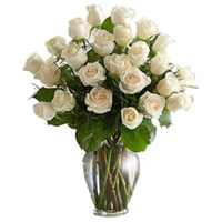 Flowers to Hyderabad : White Roses