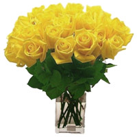 Flowers to Hyderabad : Yellow Roses