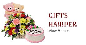 gifts to Narasaraopet
