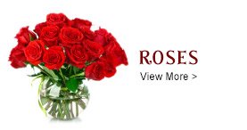 send roses to Putaparthy