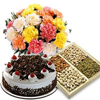 Online Delivery Friendship Day Gifts of 12 Mix Carnation with 1/2 Kg Black Forest Cake and 1/2 Kg Dry Fruits in Hyderabad